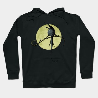 On the branch Hoodie